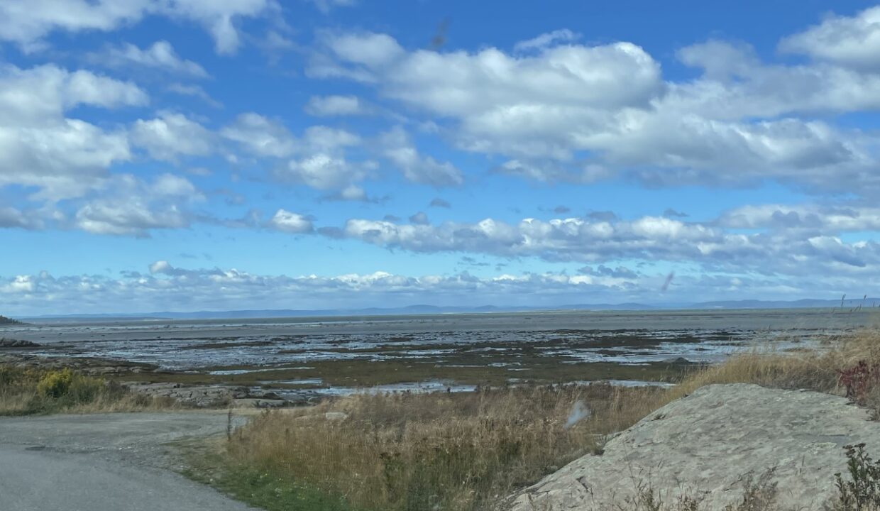 Fleuve Le 132 à la GREVE